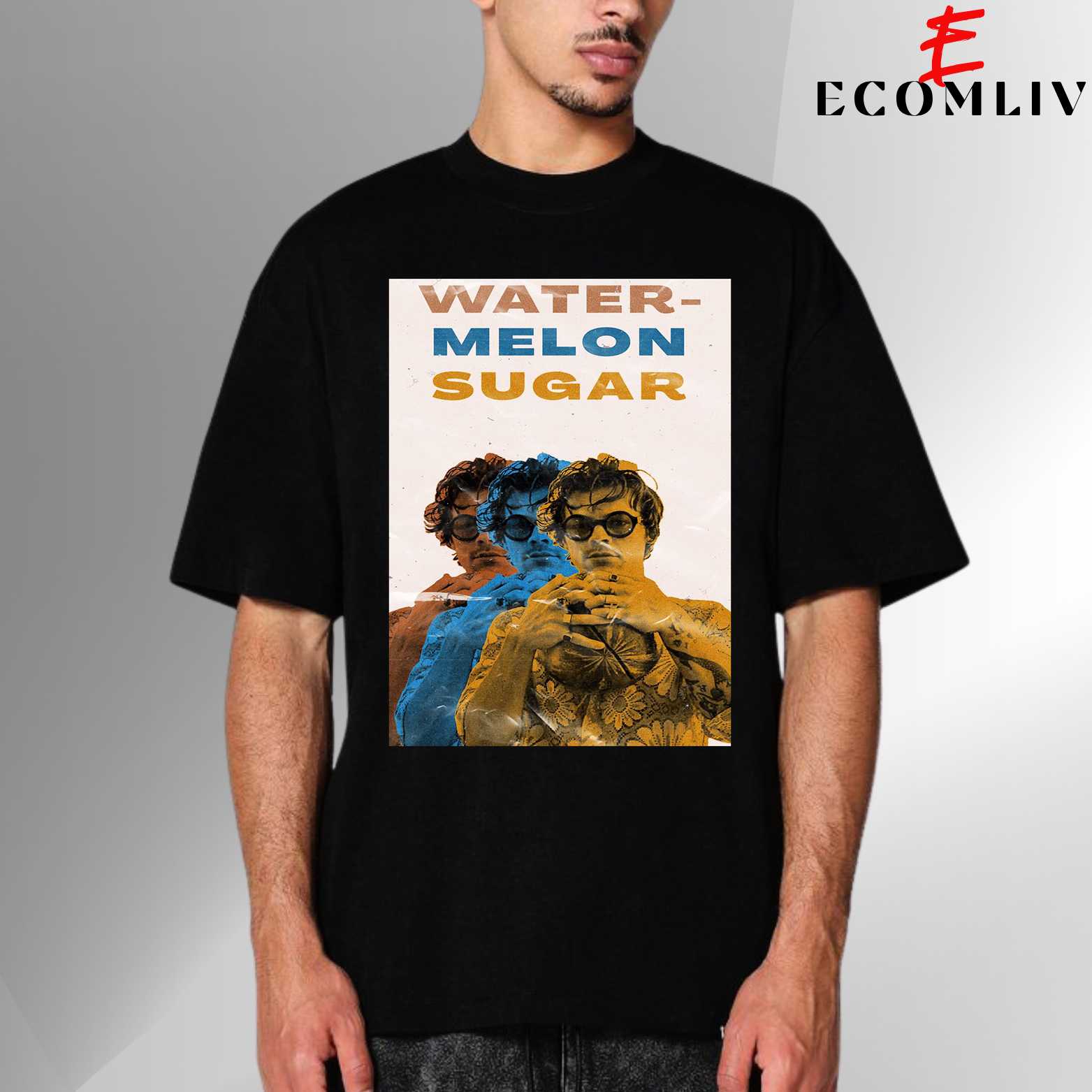 Harry Styles T Shirt, Unisex Tee, Streetwear Fan Shirt, Collector Apparel